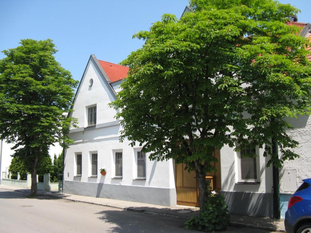 Stieglerhof Kg -Apartments Illmitz- Dış mekan fotoğraf